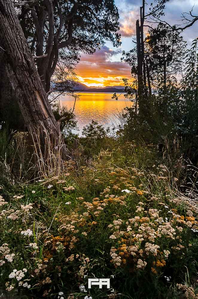 paisaje-fotografo-de-autor-fernando-arcuri