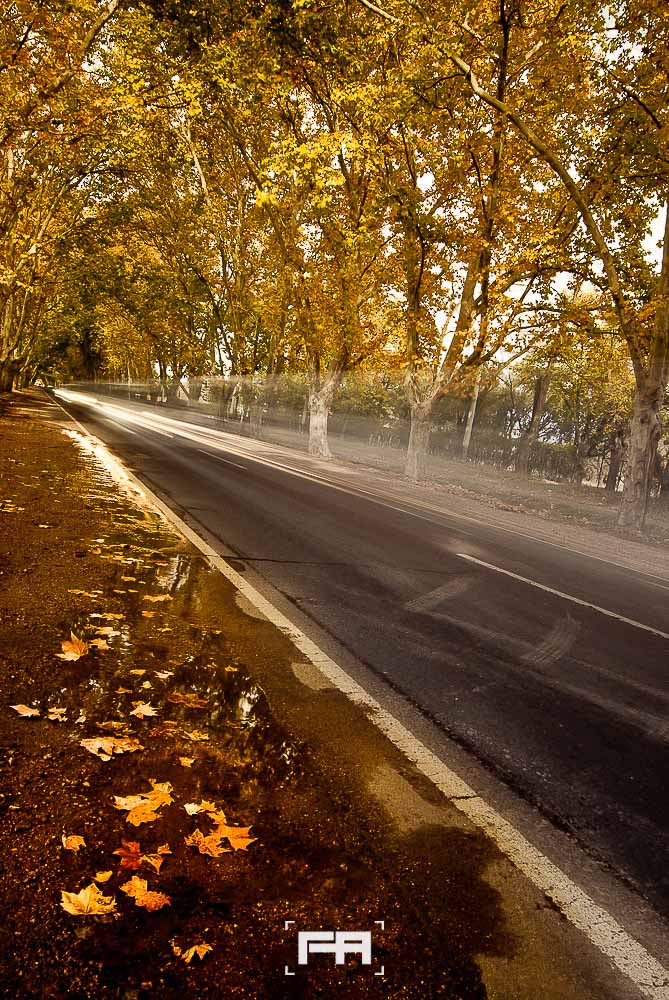 fernando-arcuri-fotografo-profesional-de-autor